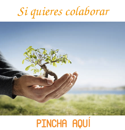 colaboración información contacto de la coordinadora